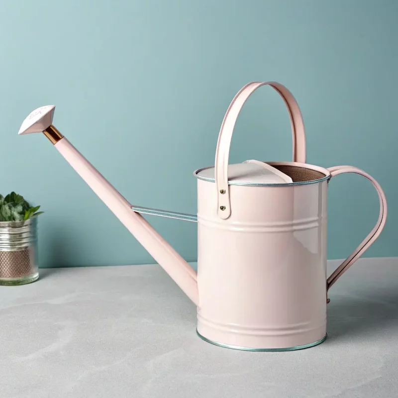 Plant Care Watering Can